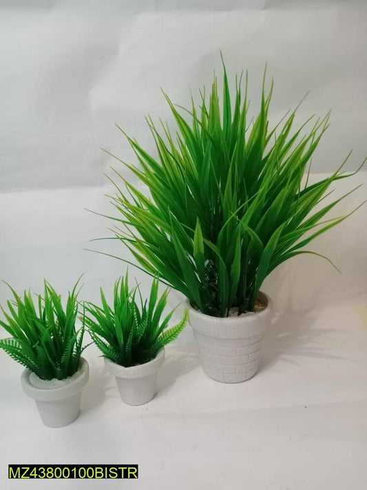 Mini Indoor Planters – Set of 3